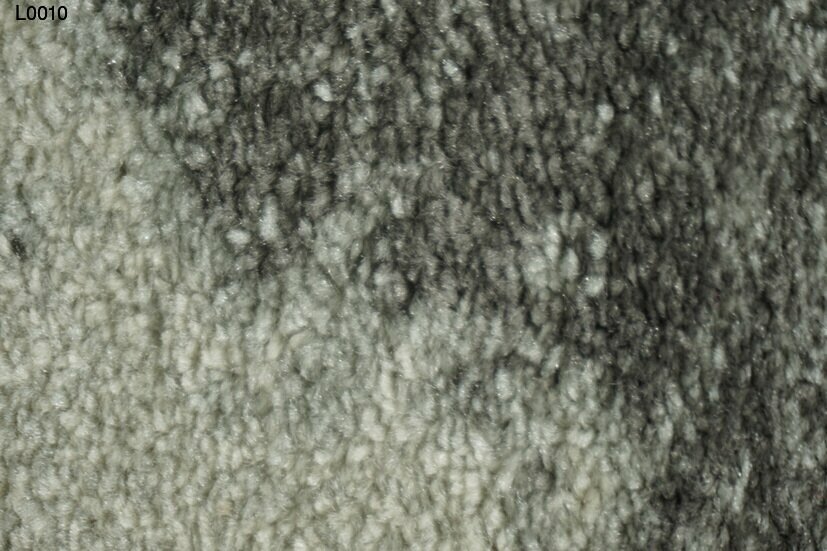 l0010